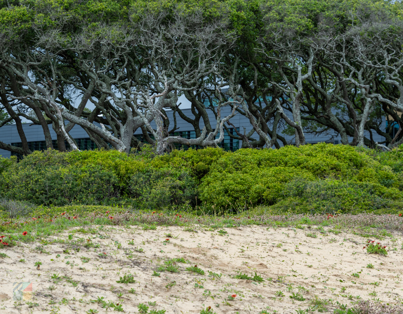 Fort Fisher Recreation Area