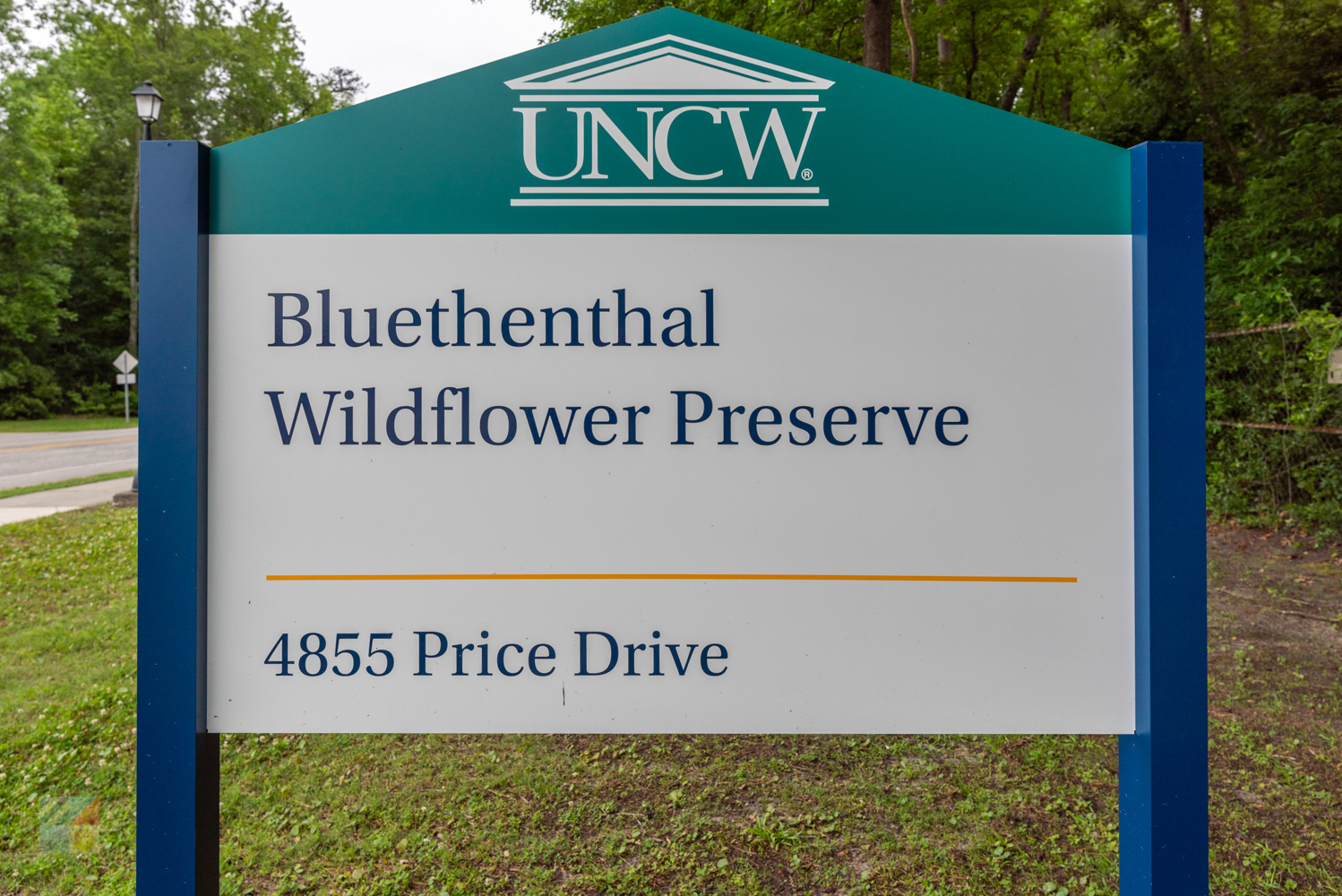 Bluethenthal Wildflower Preserve