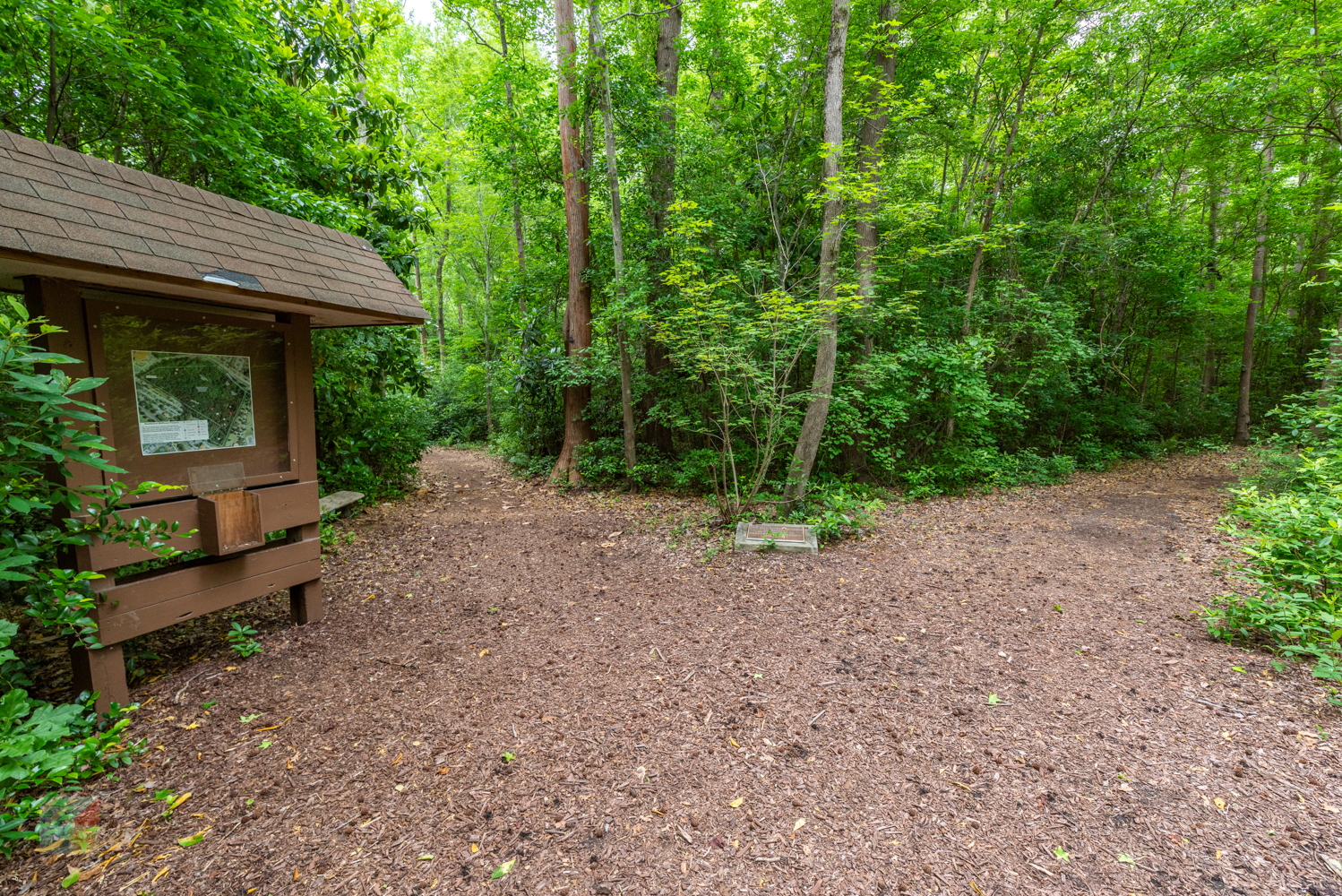 Bluethenthal Wildflower Preserve