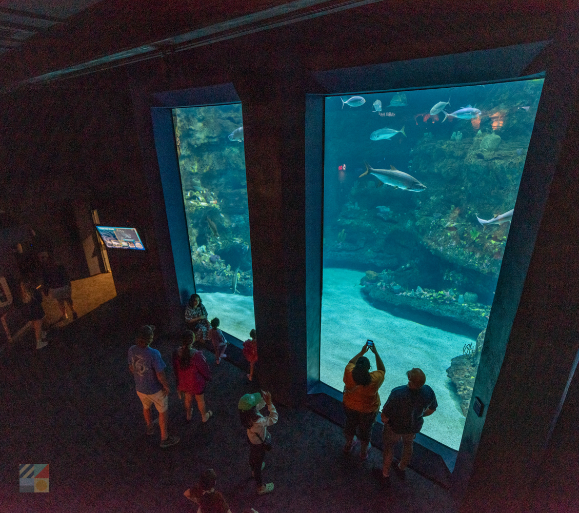 NC Aquarium at Fort Fisher