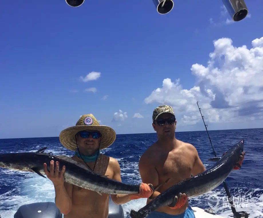 charter image 4