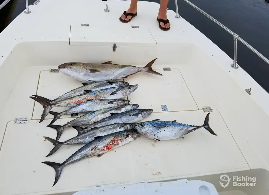 charter image 6