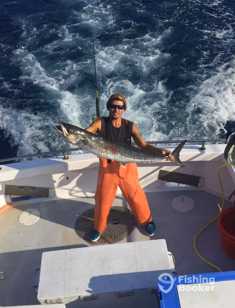 charter image 3