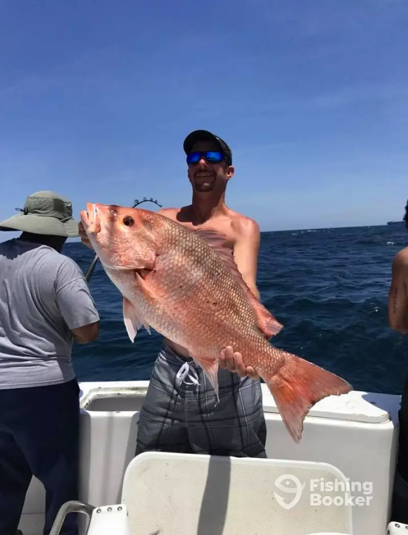 charter image 2
