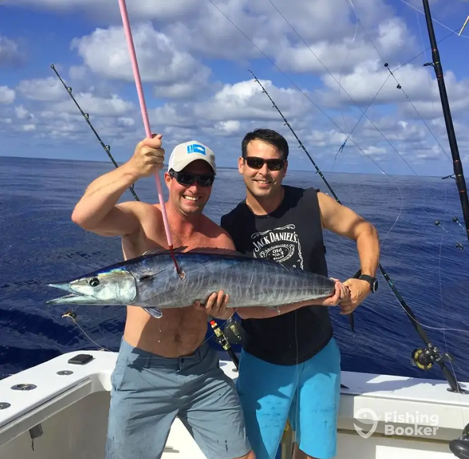 charter image 4