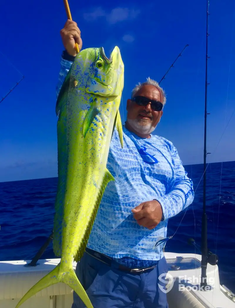 charter image 5