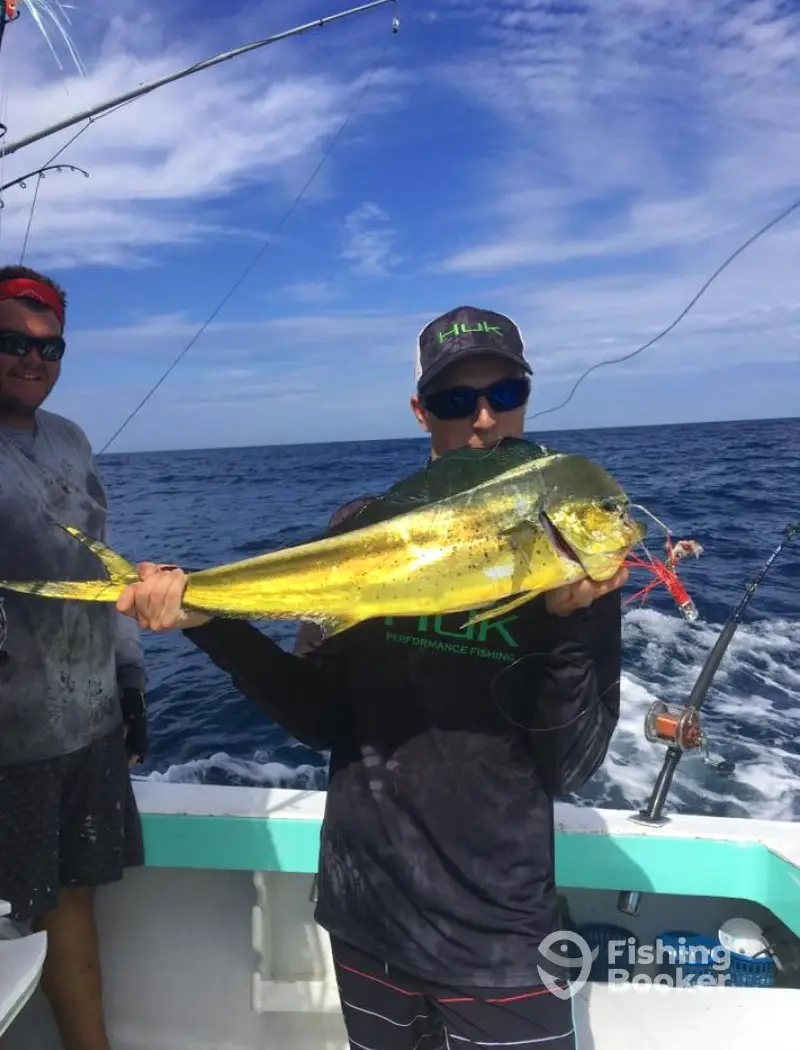 charter image 4
