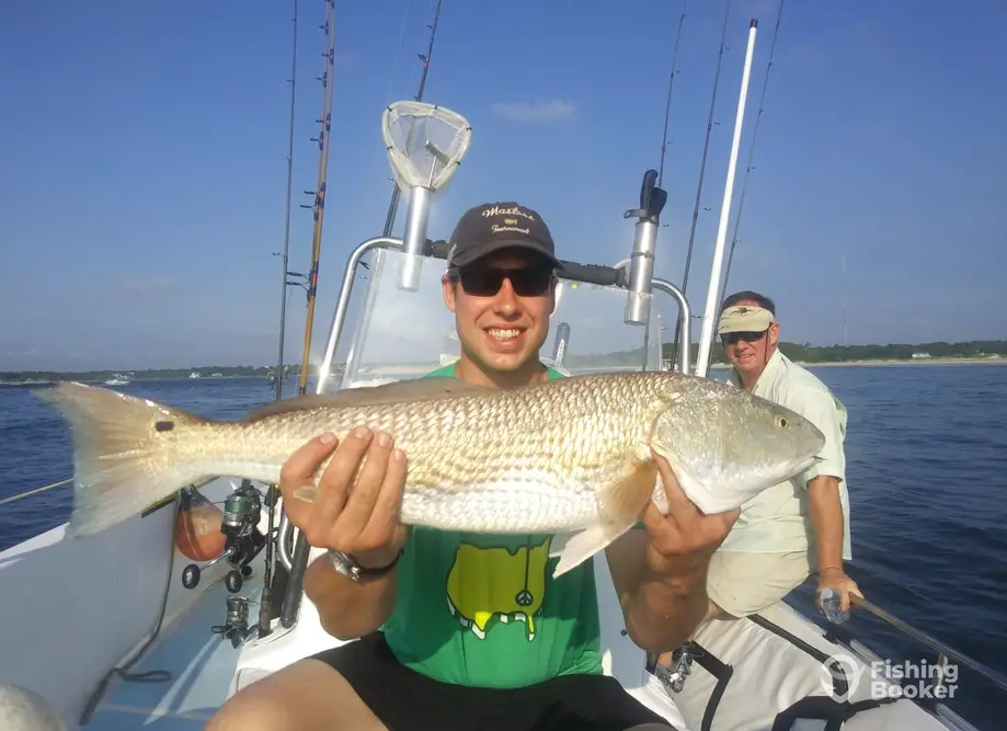 charter image 5