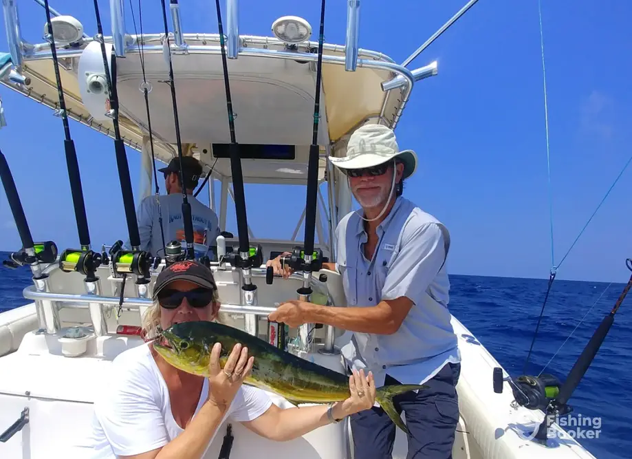 charter image 4