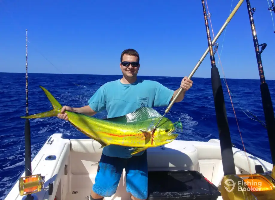 charter image 5