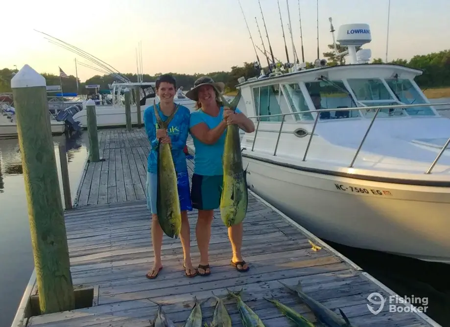 Seabbatical Charters – nearshore / Offshore