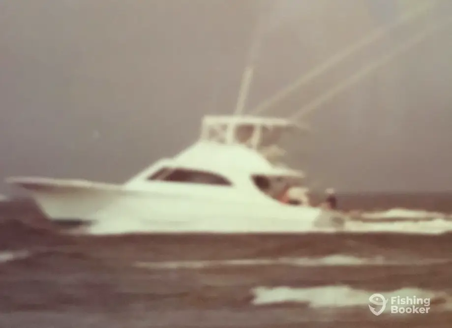 charter image 3