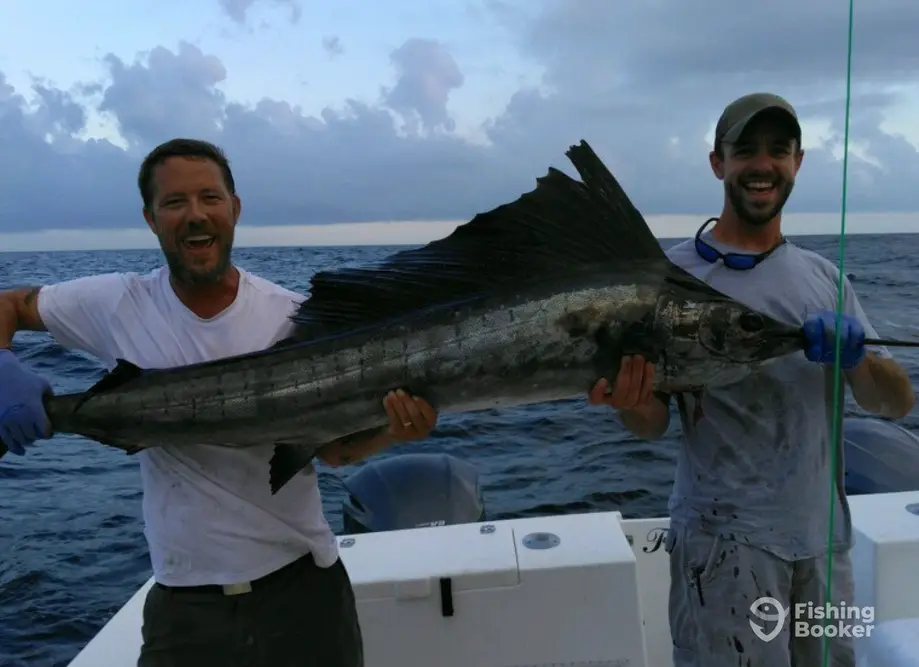 charter image 5