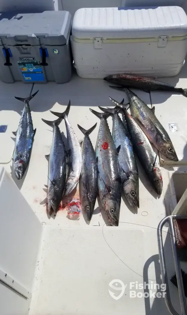 charter image 6
