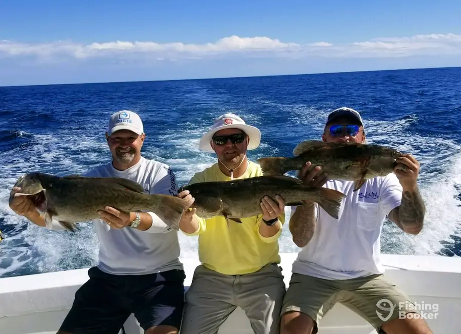 charter image 3