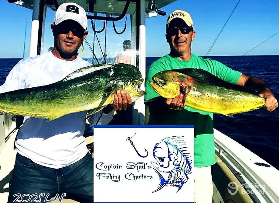 charter image 2