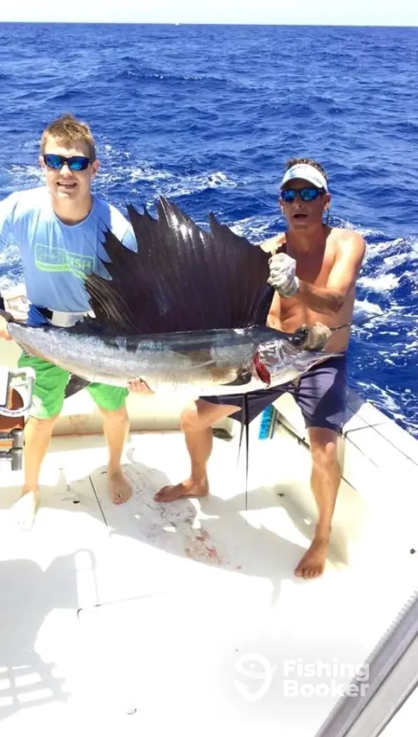 charter image 3
