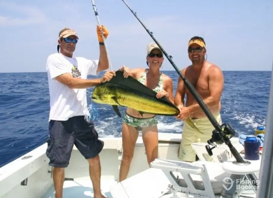 charter image 6
