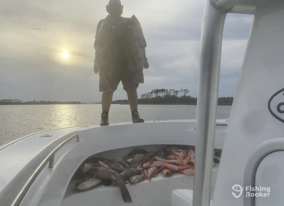charter image 5
