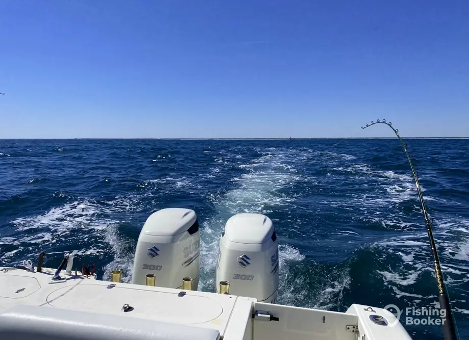 charter image 2