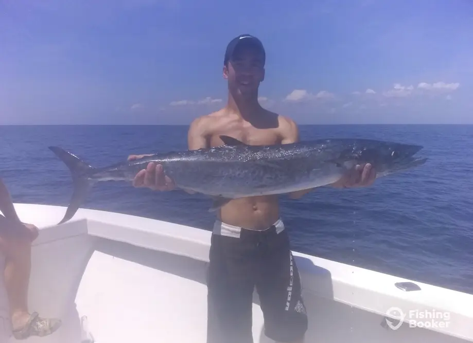 charter image 5