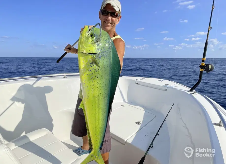 charter image 4