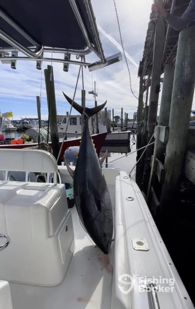 charter image 5