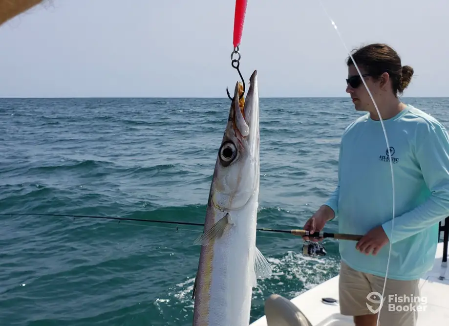 charter image 3