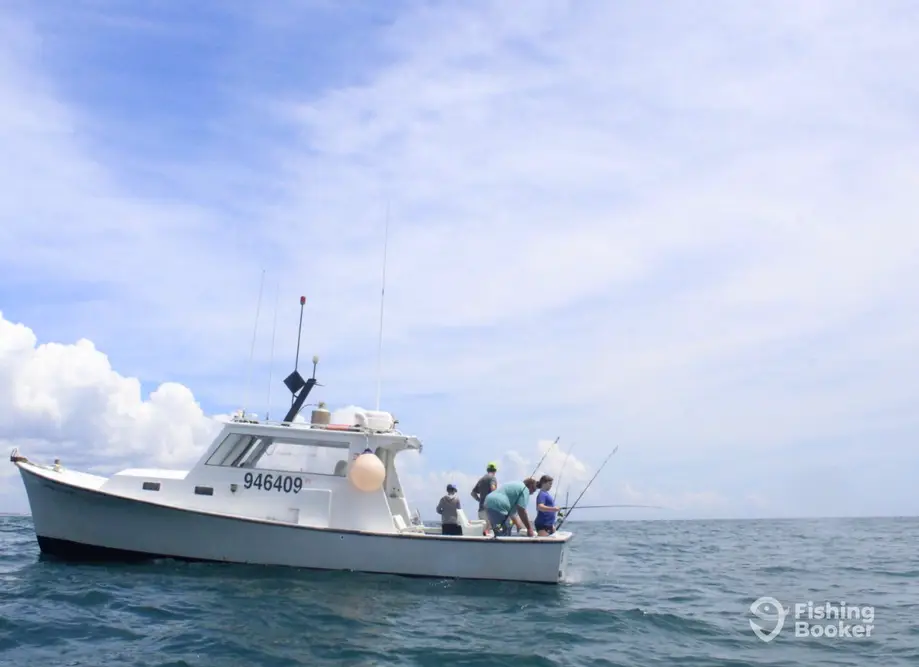 charter image 2