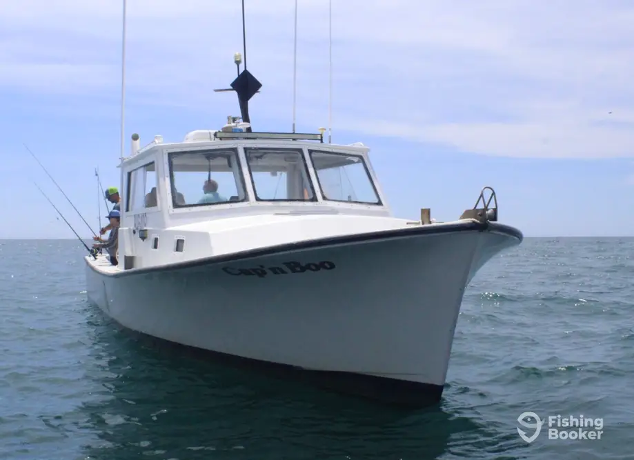 charter image 5