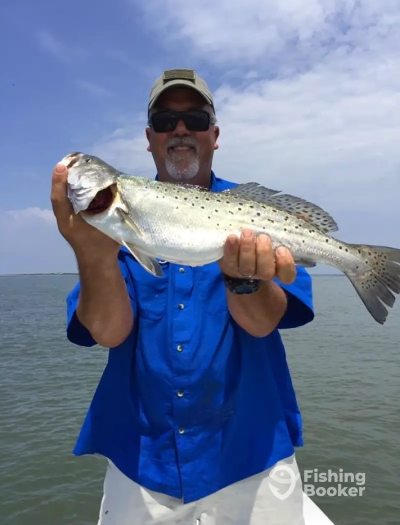 charter image 3