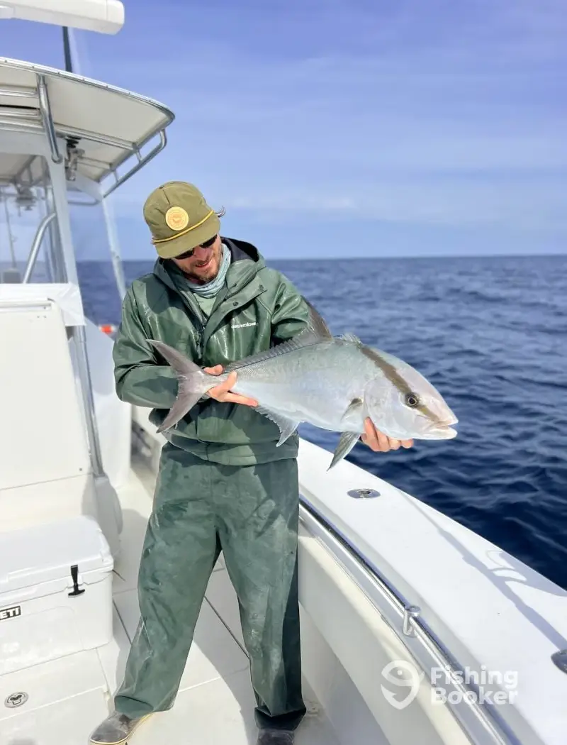 charter image 6