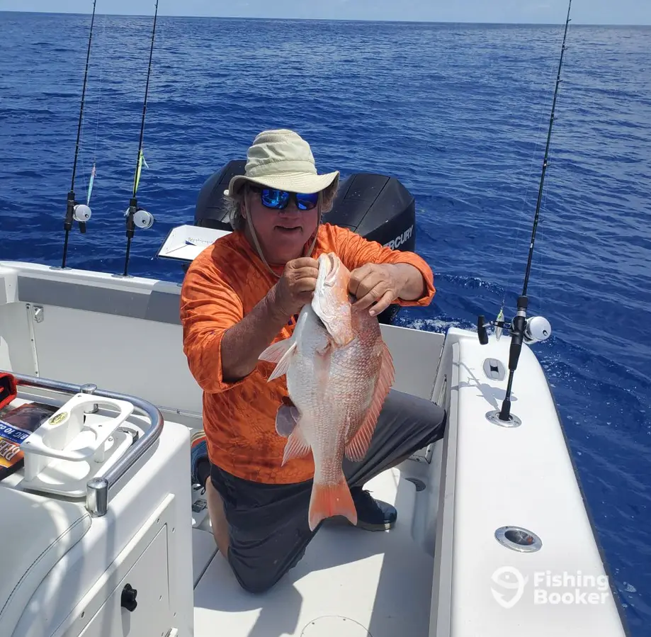 charter image 3