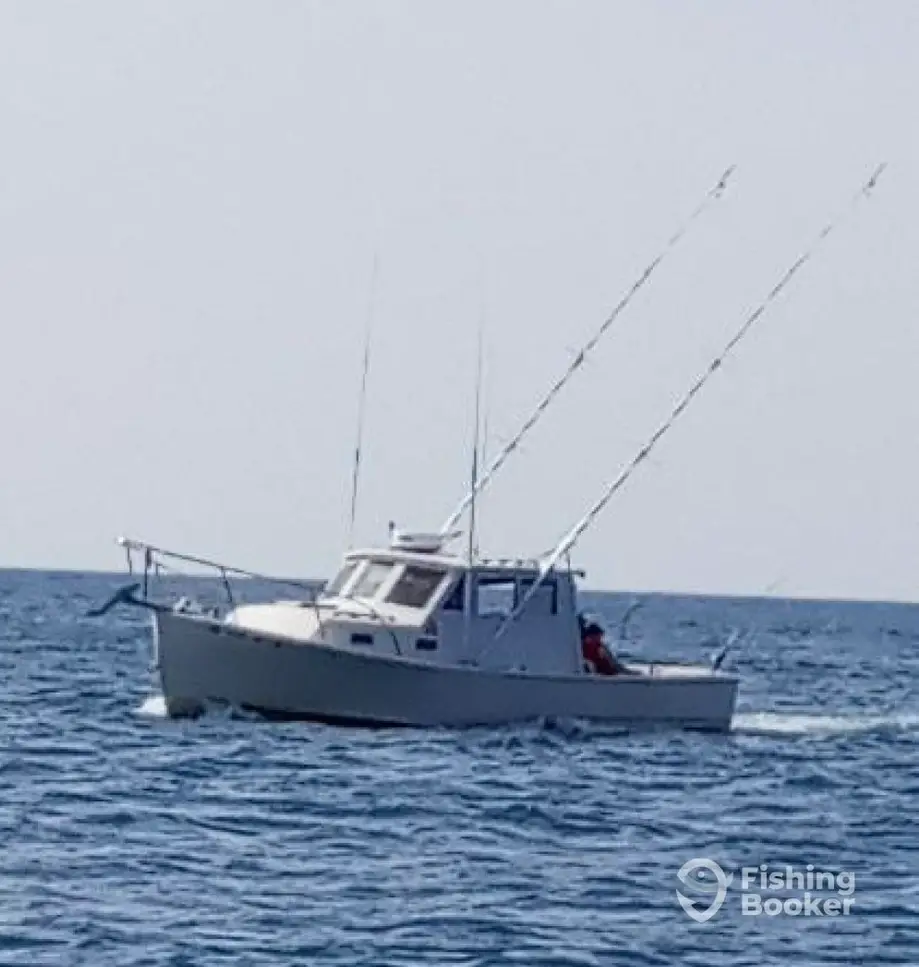 charter image 3