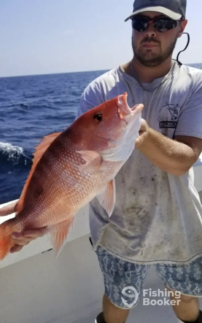 charter image 6