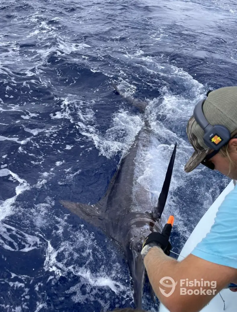 charter image 5