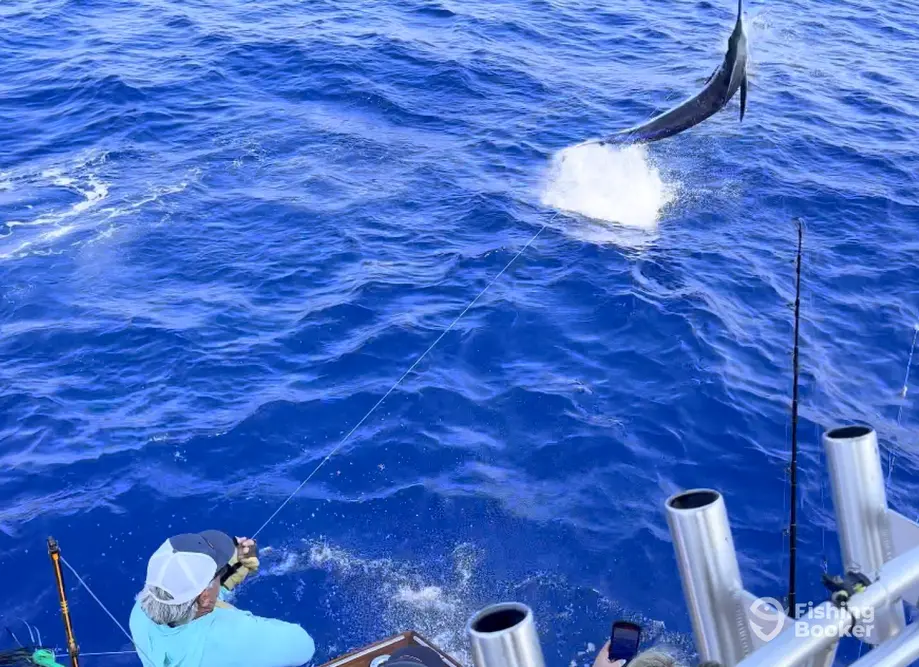 charter image 6