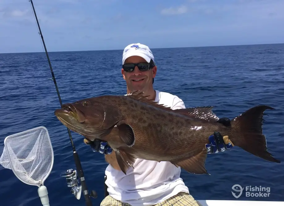 charter image 5