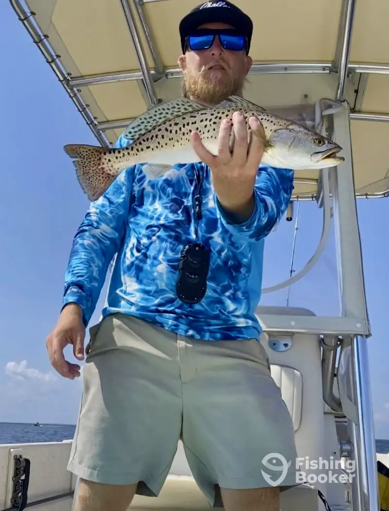 charter image 5
