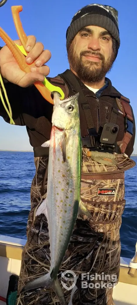 charter image 3