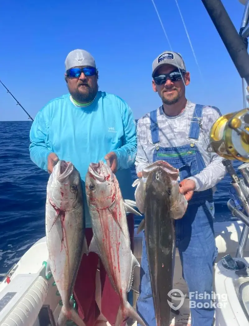 Live Action Charters OKI