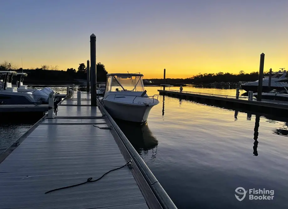 Sea Bear Charters
