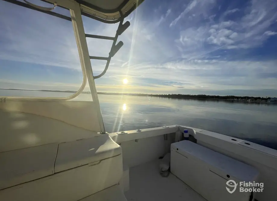 charter image 2