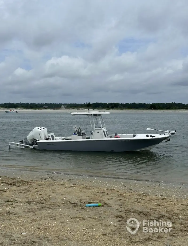 charter image 4