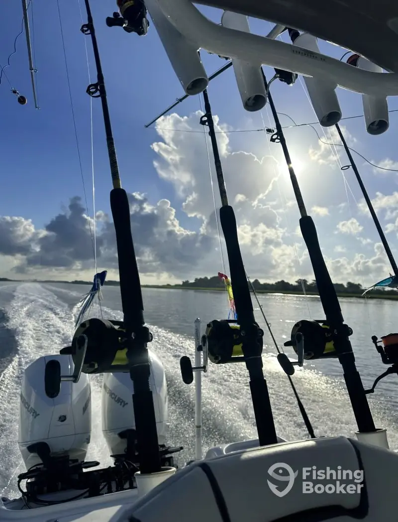 charter image 5
