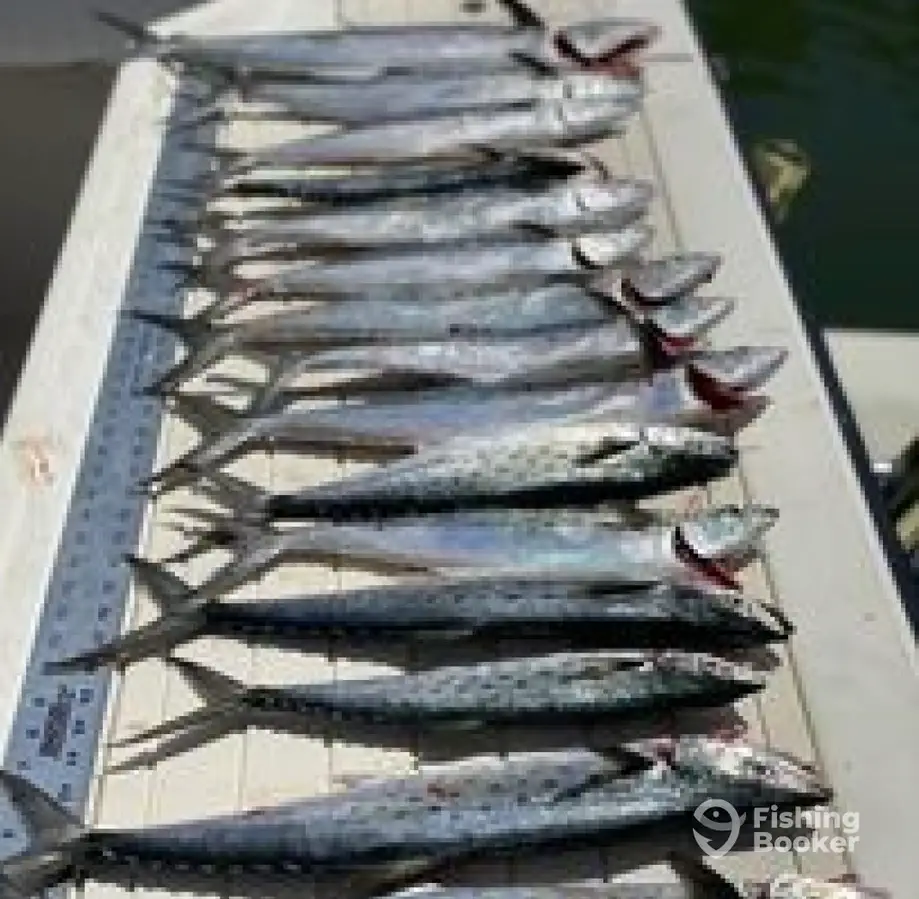 charter image 6
