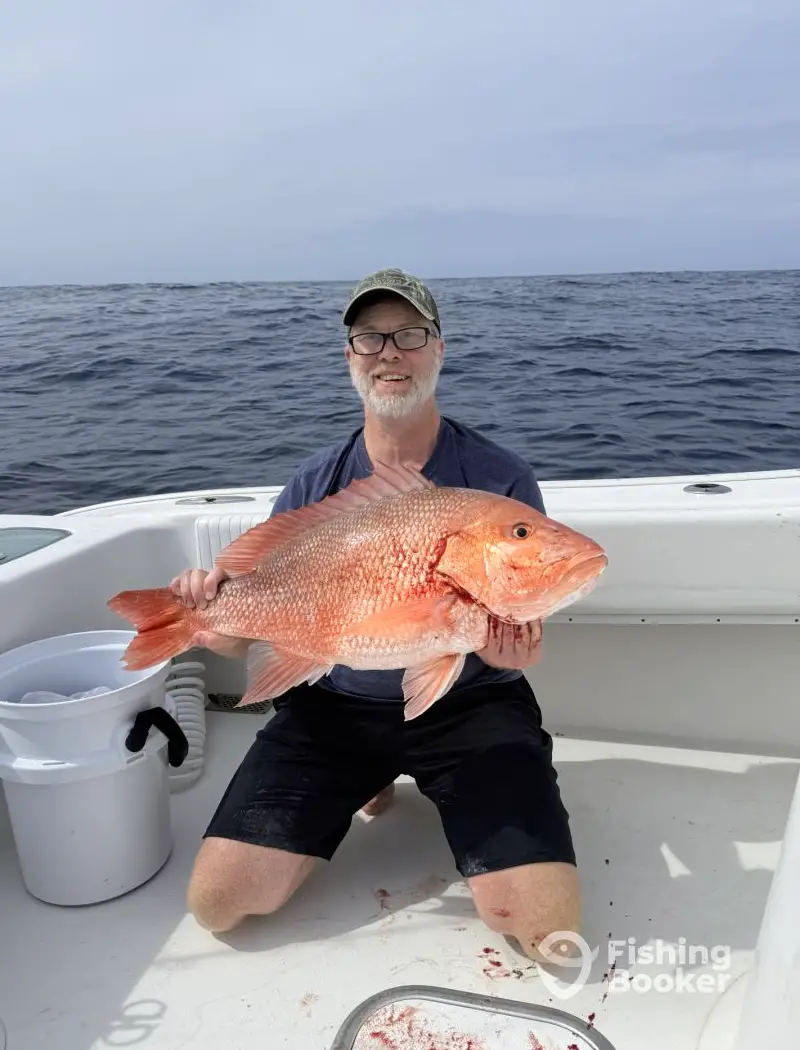 charter image 6