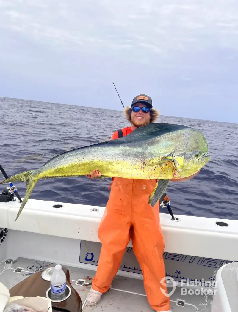 charter image 5