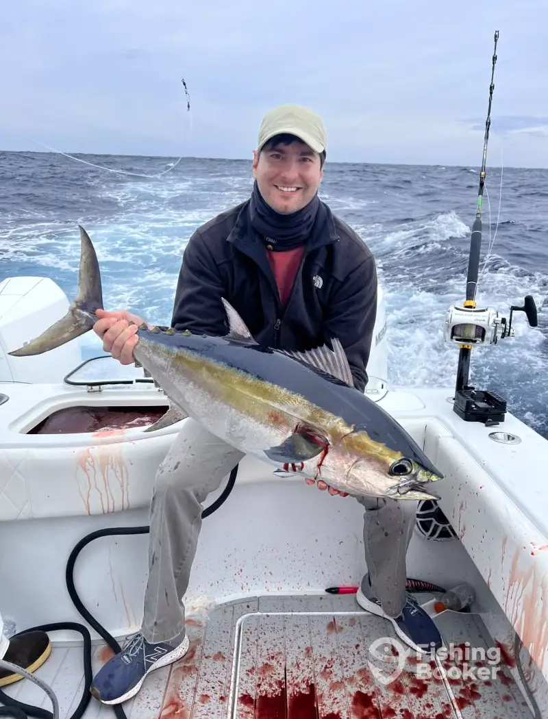 charter image 6