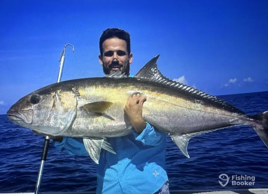 charter image 3